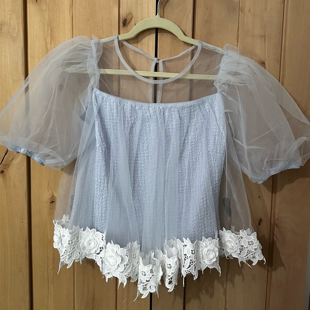 Anthropologie Blue and White Sheer Blouse